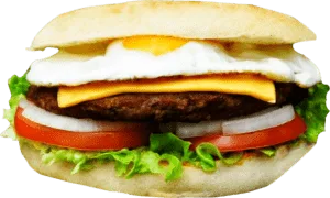 Hamburger Special