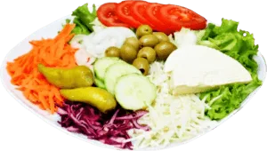 Vegetarian Salad